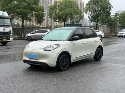 2024 WULING BINGUO,autocango,china used car exporter,china ev exporter,chinese used car exporter,chinese used ev exporter