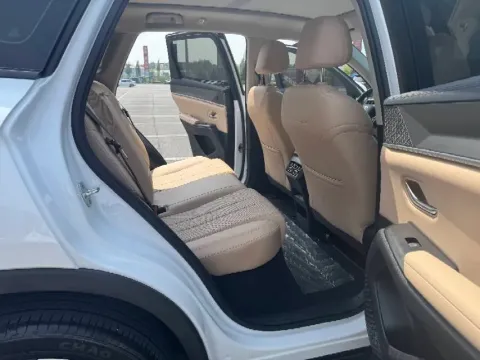 2025 BYD Song Pro 1.5L 101HP L4 E-CVT PHEV 18.3KWH