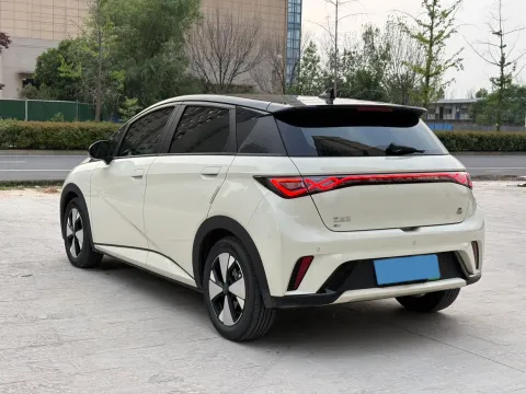 2023 BYD Dolphin BEV 44.928KWH
