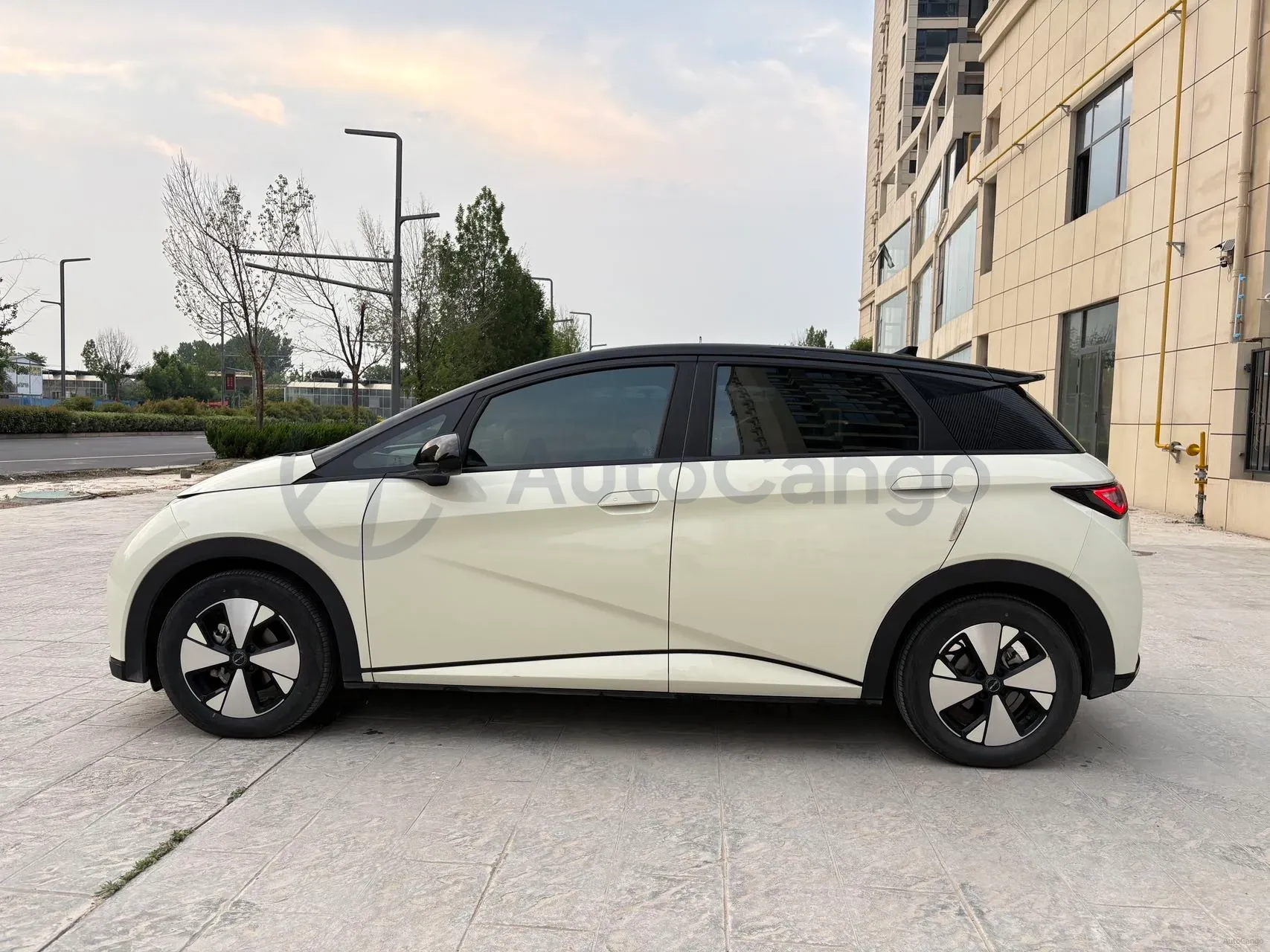 2023 BYD Dolphin BEV 44.928KWH,autocango,china used car exporter,china ev exporter,chinese used car exporter,chinese used ev exporter