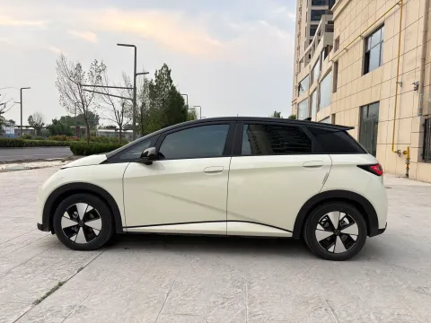 2023 BYD Dolphin BEV 44.928KWH
