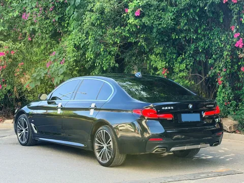 2021 BMW 5 Series 2.0T 252HP L4 8AT