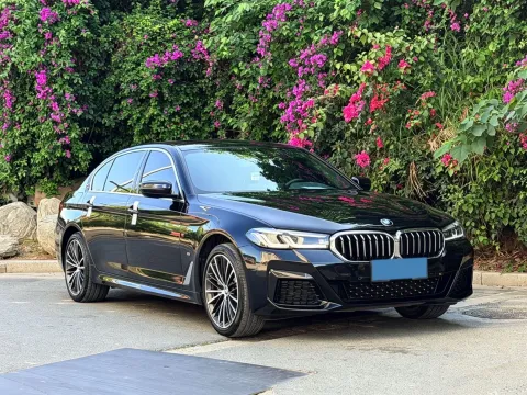 2021 BMW 5 Series 2.0T 252HP L4 8AT,autocango,china used car exporter,china ev exporter,chinese used car exporter,chinese used ev exporter
