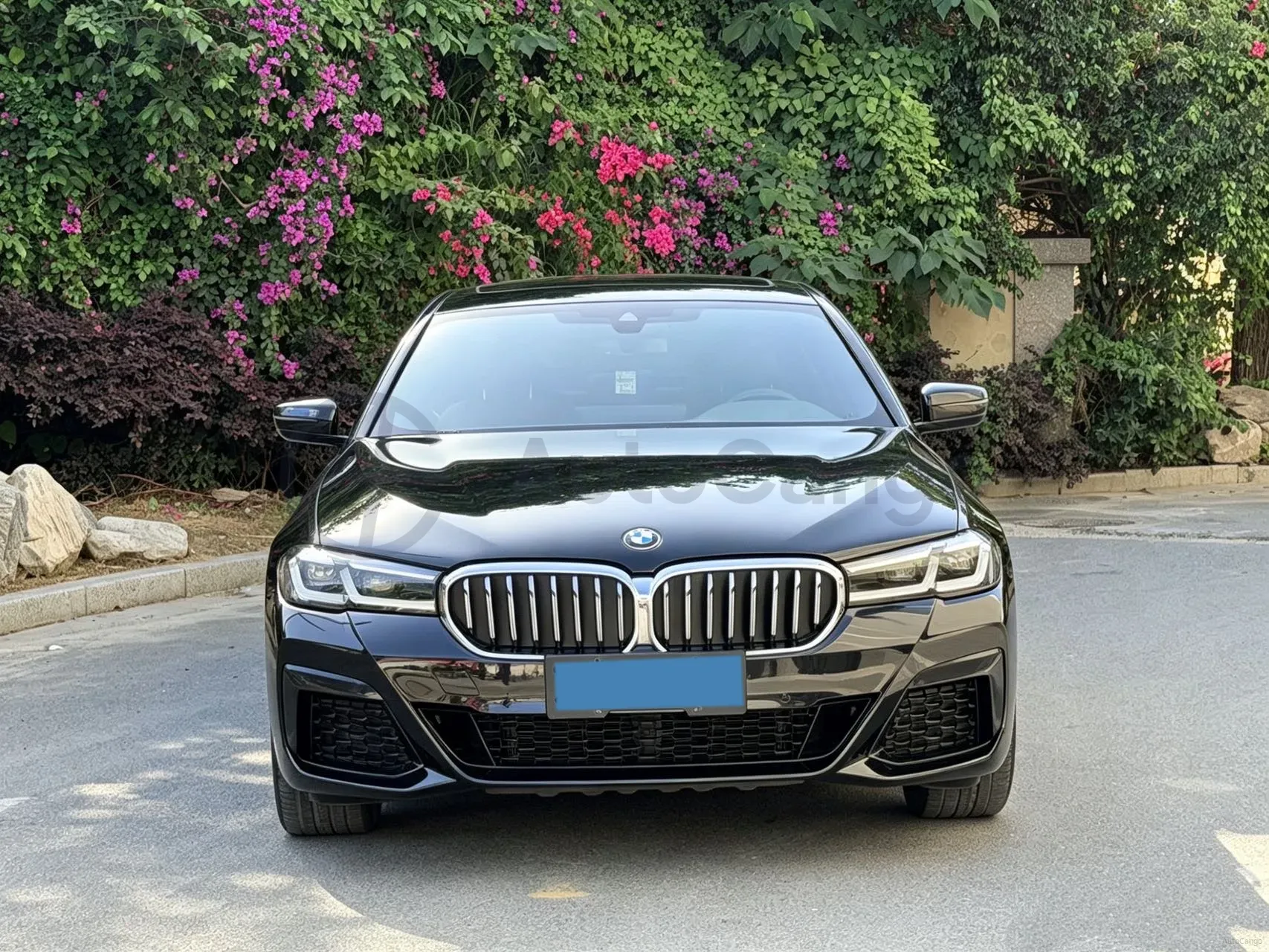 2021 BMW 5 Series 2.0T 252HP L4 8AT,autocango,china used car exporter,china ev exporter,chinese used car exporter,chinese used ev exporter