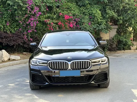 2021 BMW 5 Series 2.0T 252HP L4 8AT,autocango,china used car exporter,china ev exporter,chinese used car exporter,chinese used ev exporter