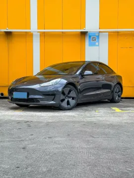 2021 TESLA MODEL 3,autocango,china used car exporter,china ev exporter,chinese used car exporter,chinese used ev exporter