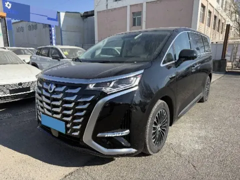 2025 DENZA D9,autocango,china used car exporter,china ev exporter,chinese used car exporter,chinese used ev exporter