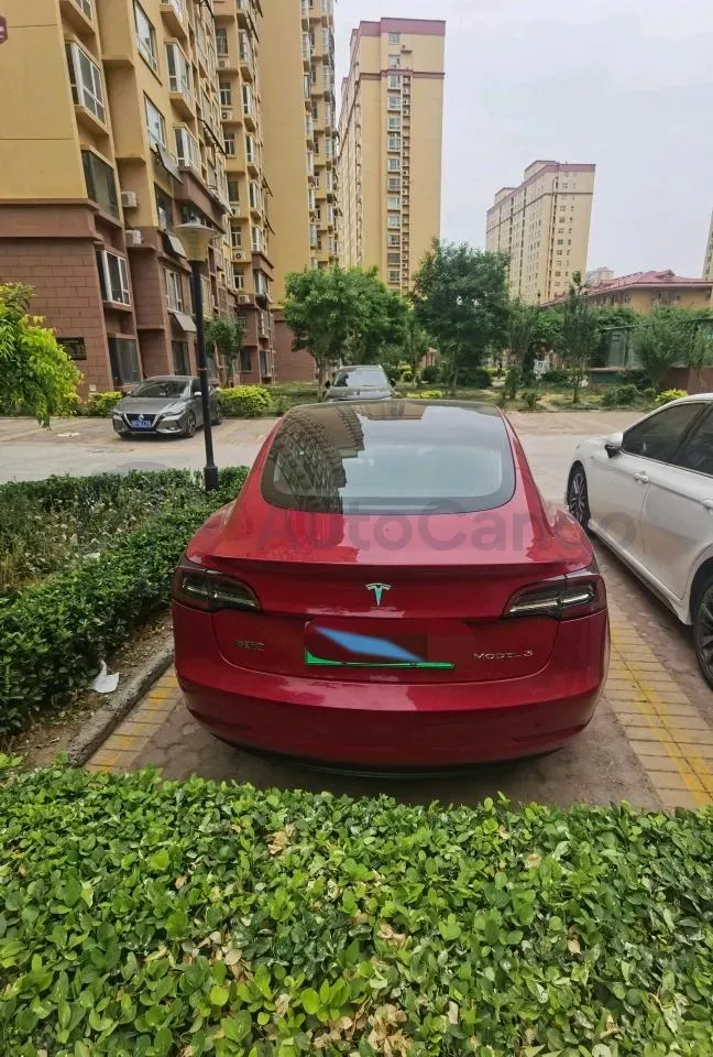 2020 Tesla Model 3 BEV 55KWH,autocango,china used car exporter,china ev exporter,chinese used car exporter,chinese used ev exporter