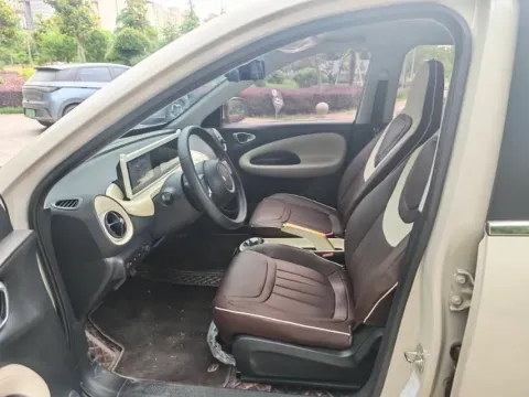 2023 WuLing BinGuo BEV 31.9KWH,autocango,china used car exporter,china ev exporter,chinese used car exporter,chinese used ev exporter