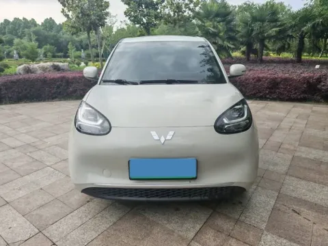 2023 WuLing BinGuo BEV 31.9KWH,autocango,china used car exporter,china ev exporter,chinese used car exporter,chinese used ev exporter