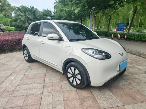 2023 WuLing BinGuo BEV 31.9KWH,autocango,china used car exporter,china ev exporter,chinese used car exporter,chinese used ev exporter