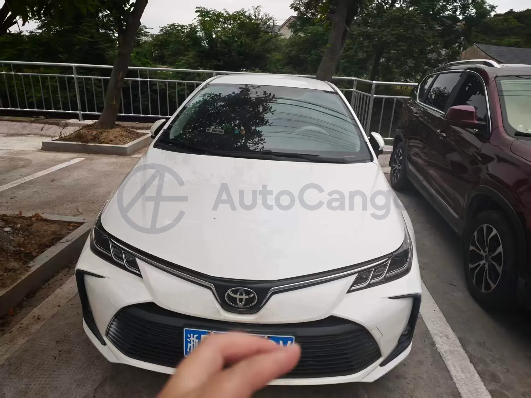 2023 Toyota Corolla 1.2T 116HP L4 CVT,autocango,china used car exporter,china ev exporter,chinese used car exporter,chinese used ev exporter