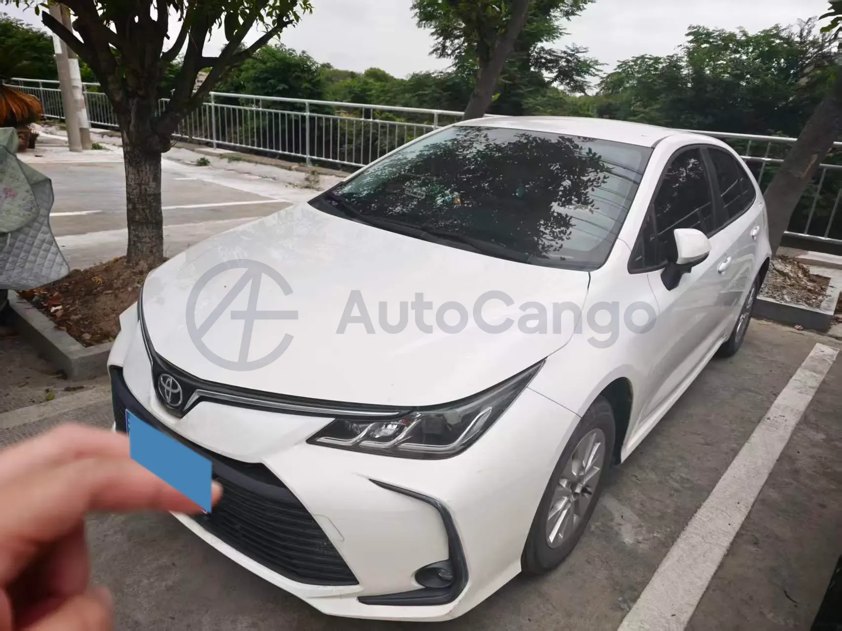 2023 Toyota Corolla 1.2T 116HP L4 CVT,autocango,china used car exporter,china ev exporter,chinese used car exporter,chinese used ev exporter
