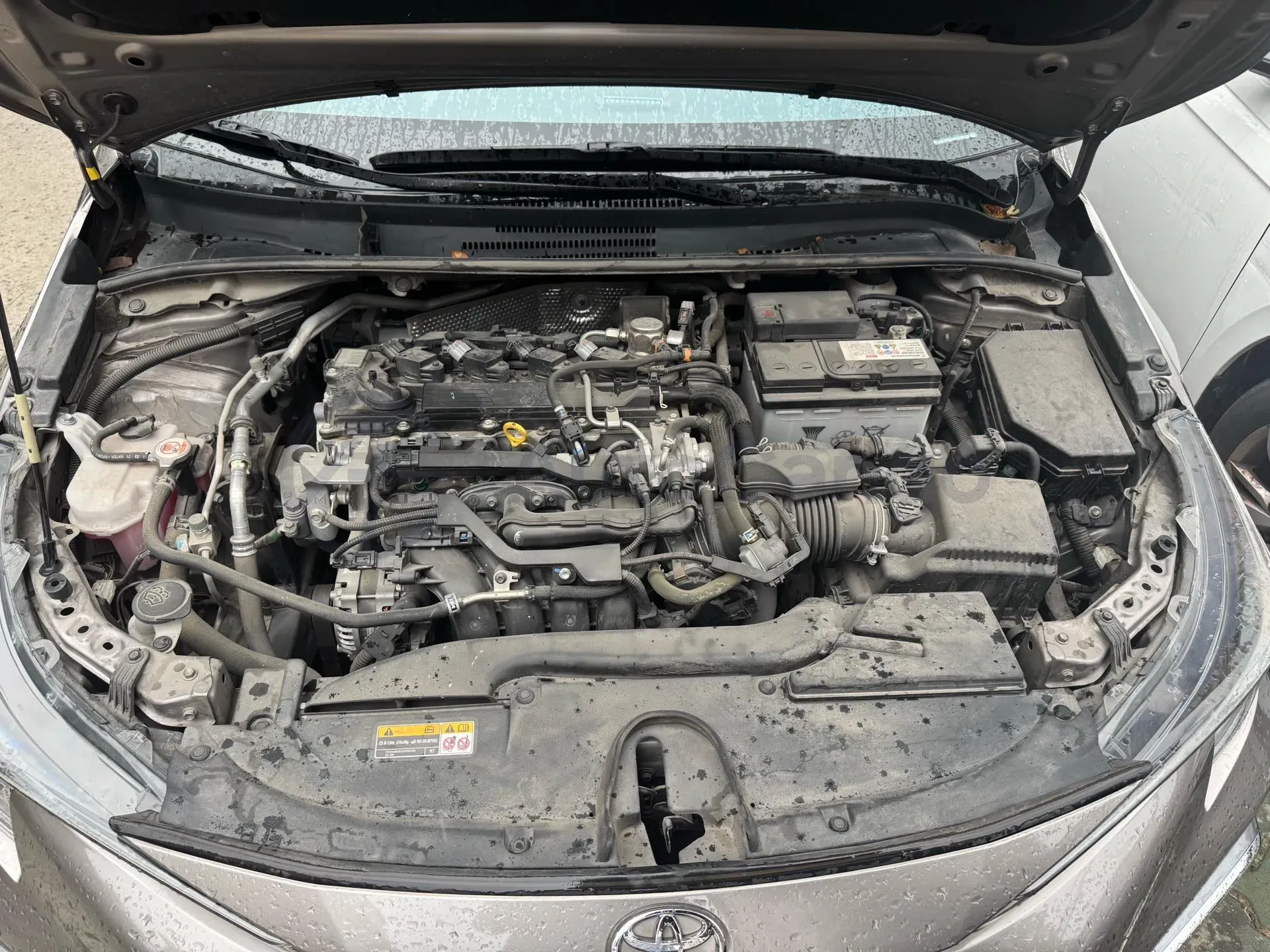 2021 Toyota Paptor 2.0L 171HP L4 CVT,autocango,china used car exporter,china ev exporter,chinese used car exporter,chinese used ev exporter