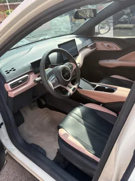 2025 BYD Seagull BEV 30.08KWH,autocango,china used car exporter,china ev exporter,chinese used car exporter,chinese used ev exporter