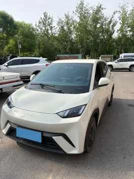 2025 BYD SEAGULL,autocango,china used car exporter,china ev exporter,chinese used car exporter,chinese used ev exporter