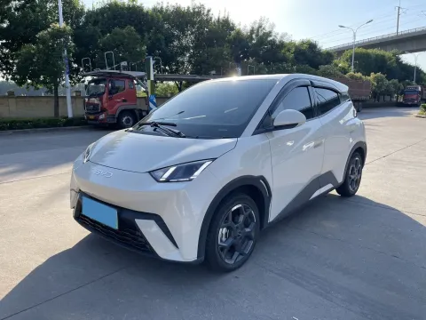 2025 BYD SEAGULL,autocango,china used car exporter,china ev exporter,chinese used car exporter,chinese used ev exporter