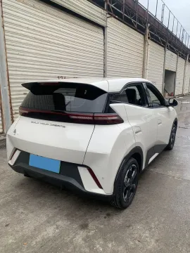 2023 BYD Seagull BEV 30.08KWH
