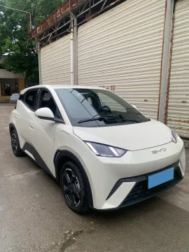 2023 BYD Seagull BEV 30.08KWH