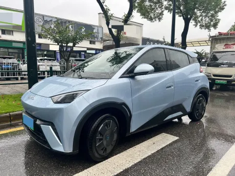 2025 BYD SEAGULL,autocango,china used car exporter,china ev exporter,chinese used car exporter,chinese used ev exporter