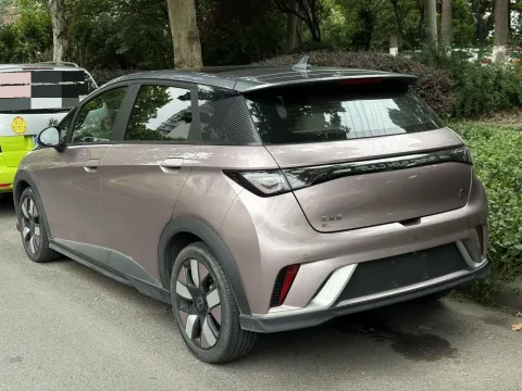 2021 BYD e2 BEV 43.2KWH