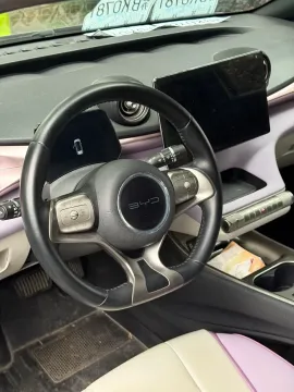 2021 BYD e2 BEV 43.2KWH