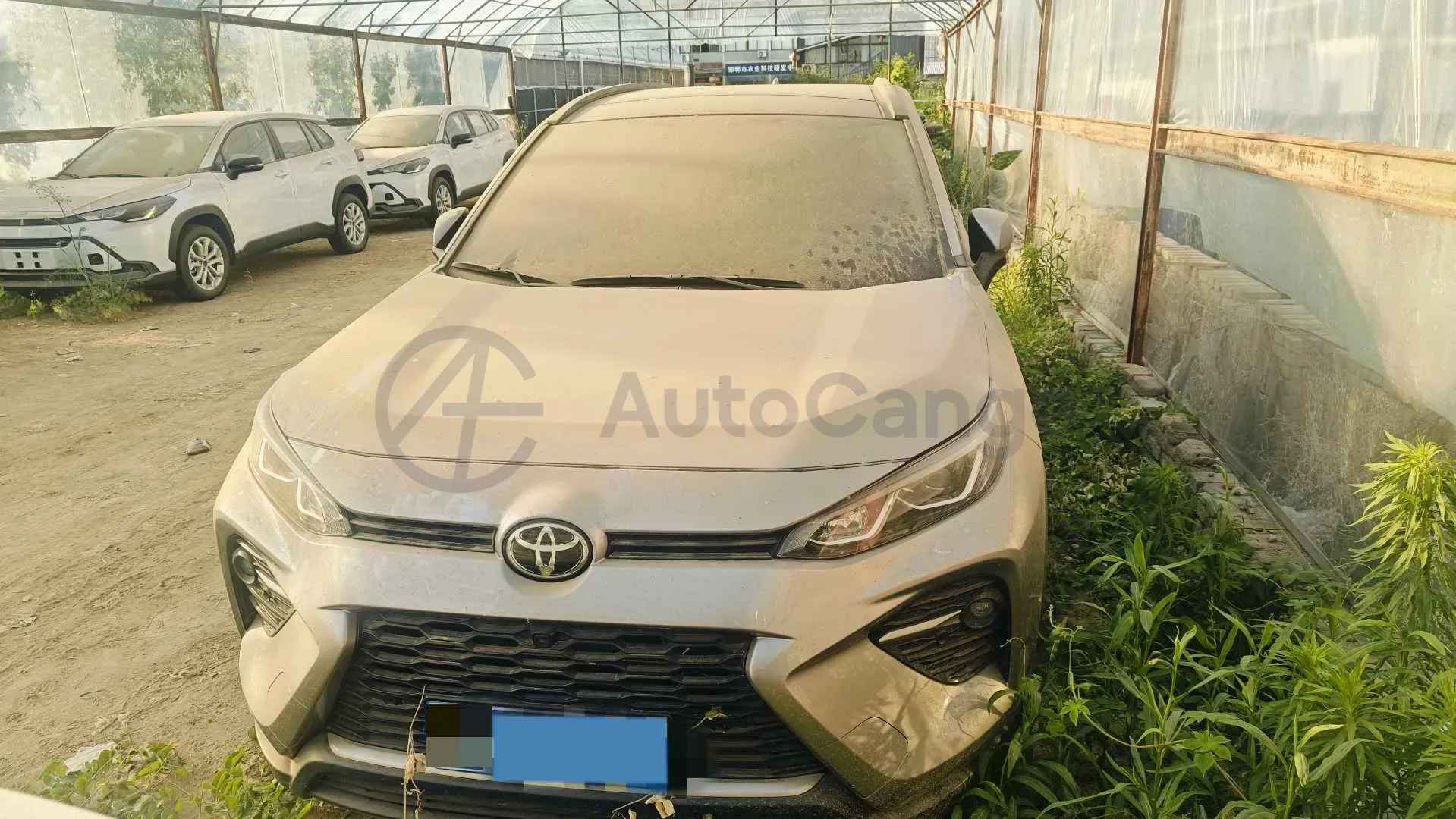 2023 Toyota Wildlander 2.0L 171HP L4 CVT,autocango,china used car exporter,china ev exporter,chinese used car exporter,chinese used ev exporter