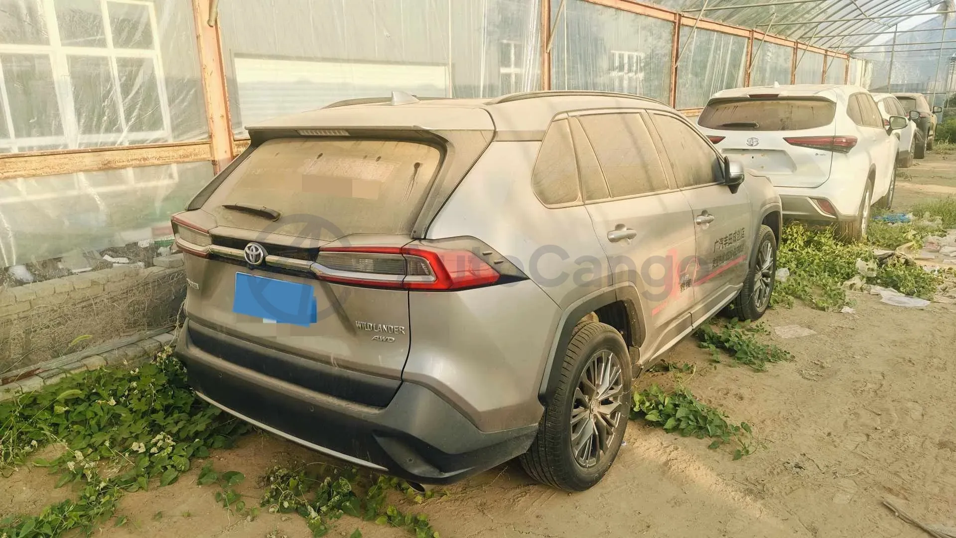 2023 Toyota Wildlander 2.0L 171HP L4 CVT,autocango,china used car exporter,china ev exporter,chinese used car exporter,chinese used ev exporter
