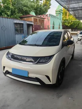 2024 BYD DOLPHIN,autocango,china used car exporter,china ev exporter,chinese used car exporter,chinese used ev exporter