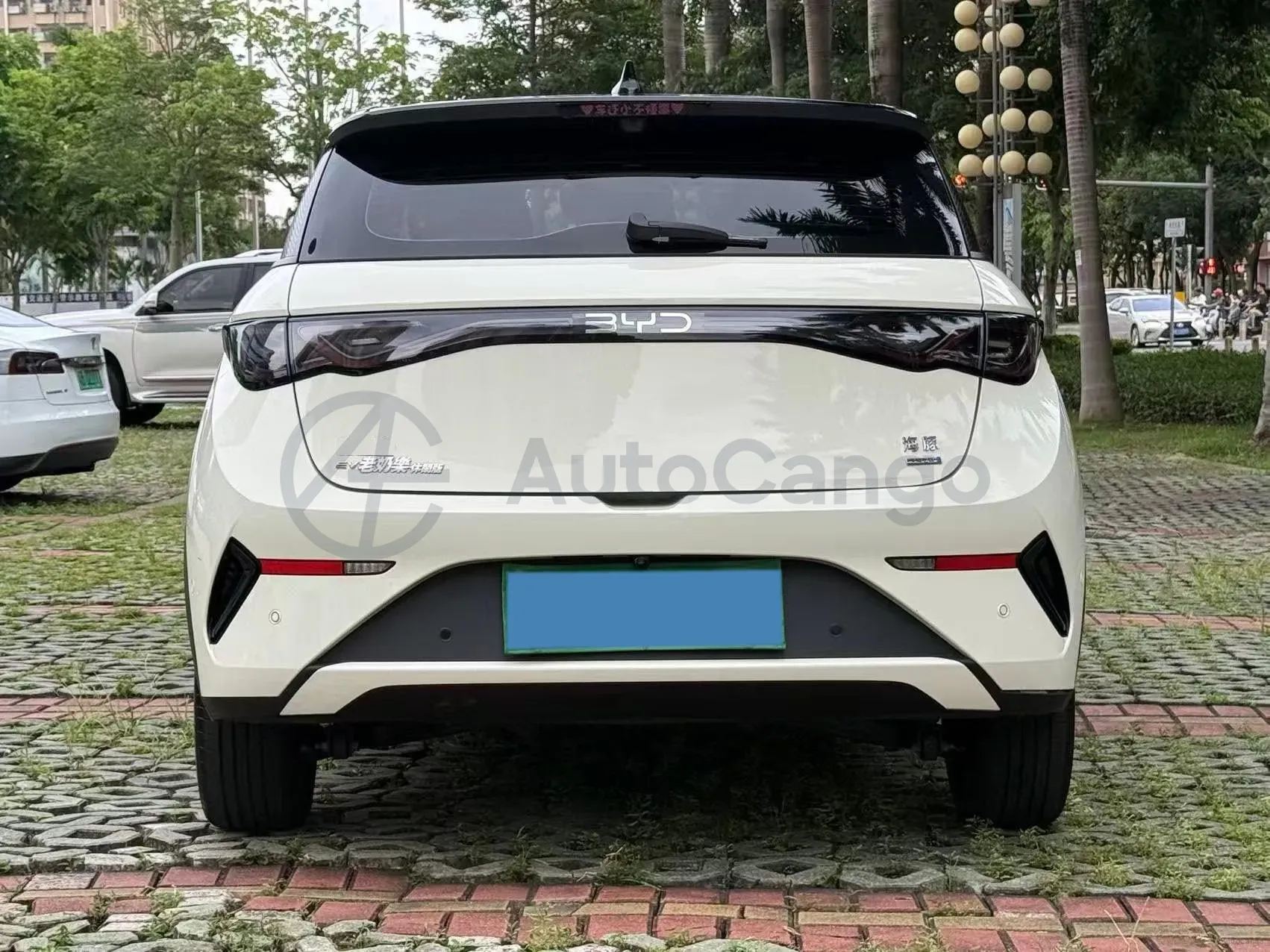 2025 BYD Dolphin BEV 45.12KWH,autocango,china used car exporter,china ev exporter,chinese used car exporter,chinese used ev exporter