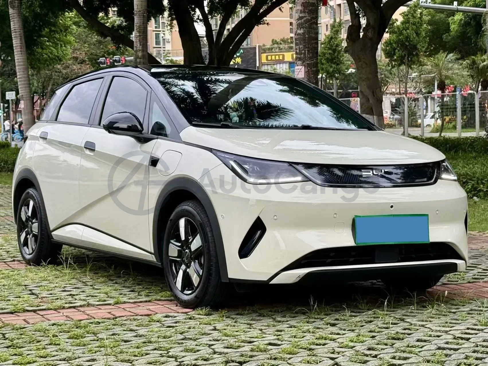2025 BYD Dolphin BEV 45.12KWH,autocango,china used car exporter,china ev exporter,chinese used car exporter,chinese used ev exporter