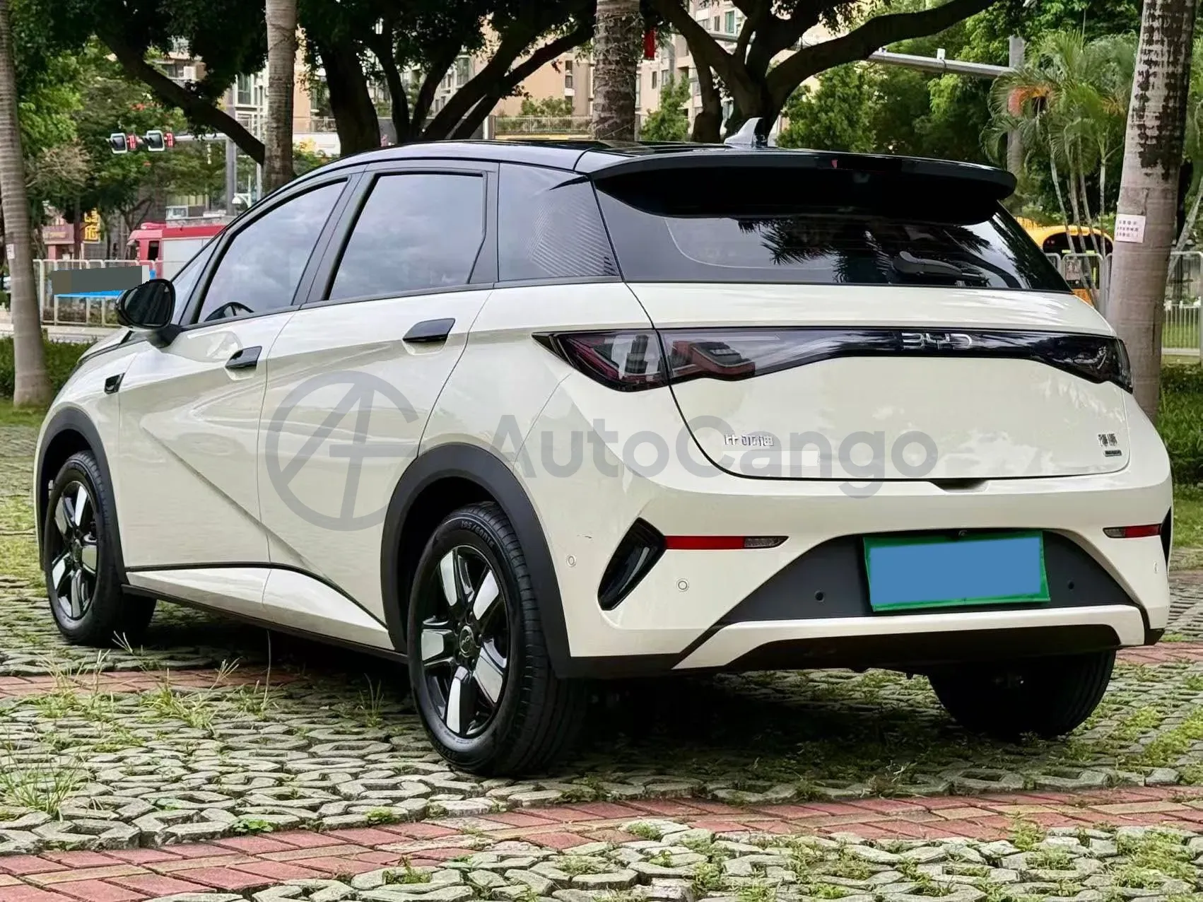 2025 BYD Dolphin BEV 45.12KWH,autocango,china used car exporter,china ev exporter,chinese used car exporter,chinese used ev exporter