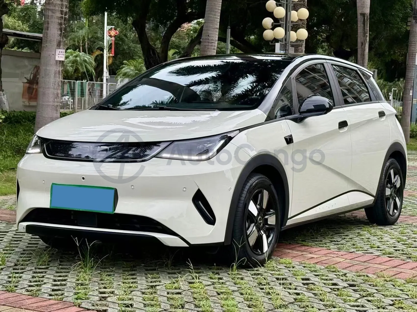 2025 BYD Dolphin BEV 45.12KWH,autocango,china used car exporter,china ev exporter,chinese used car exporter,chinese used ev exporter