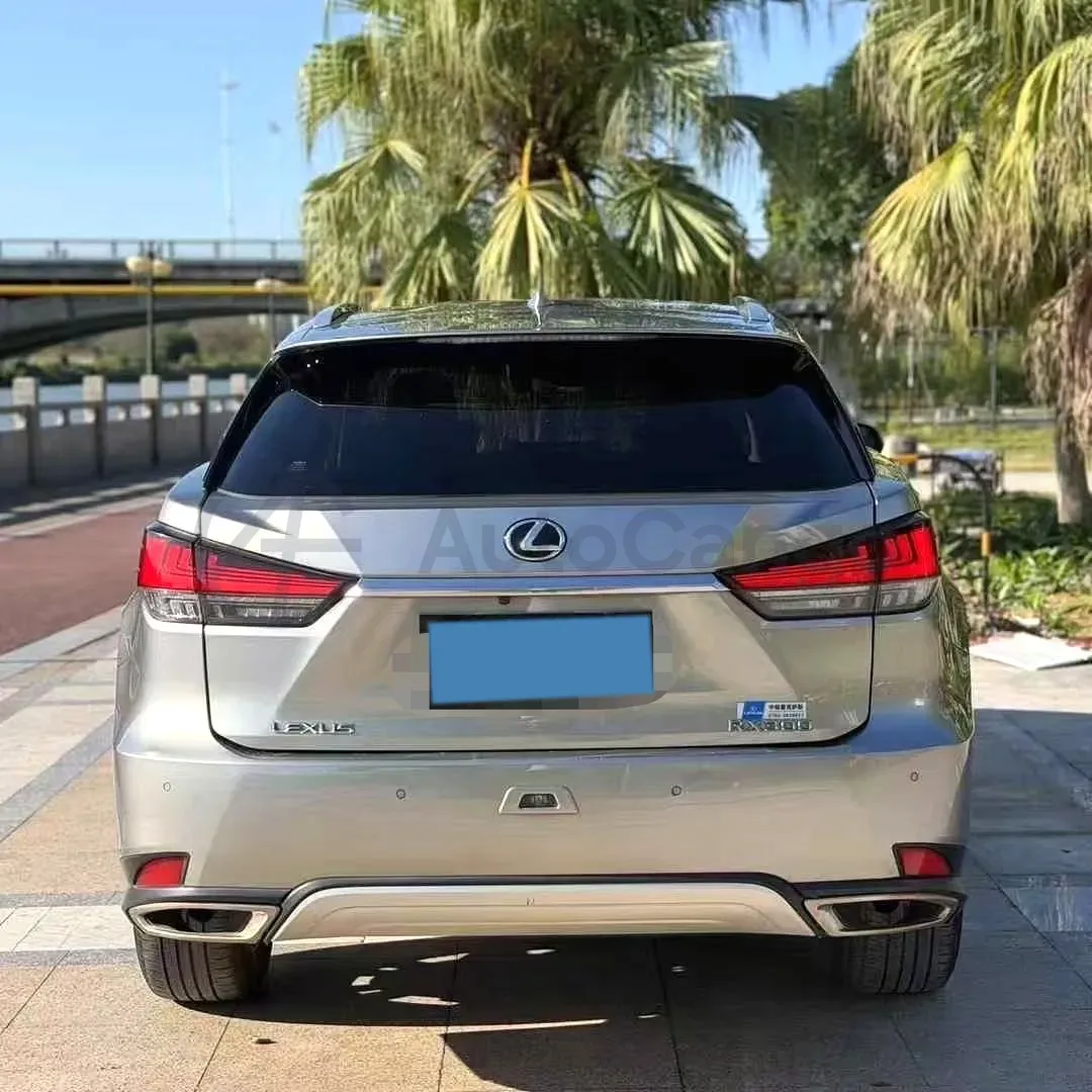 2021 Lexus RX 2.0T 231HP L4 6AT,autocango,china used car exporter,china ev exporter,chinese used car exporter,chinese used ev exporter