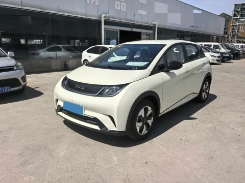 2025 BYD DOLPHIN,autocango,china used car exporter,china ev exporter,chinese used car exporter,chinese used ev exporter