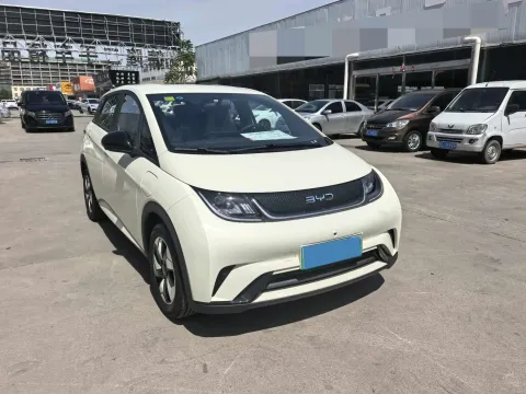 2025 BYD Dolphin BEV 44.928KWH,autocango,china used car exporter,china ev exporter,chinese used car exporter,chinese used ev exporter