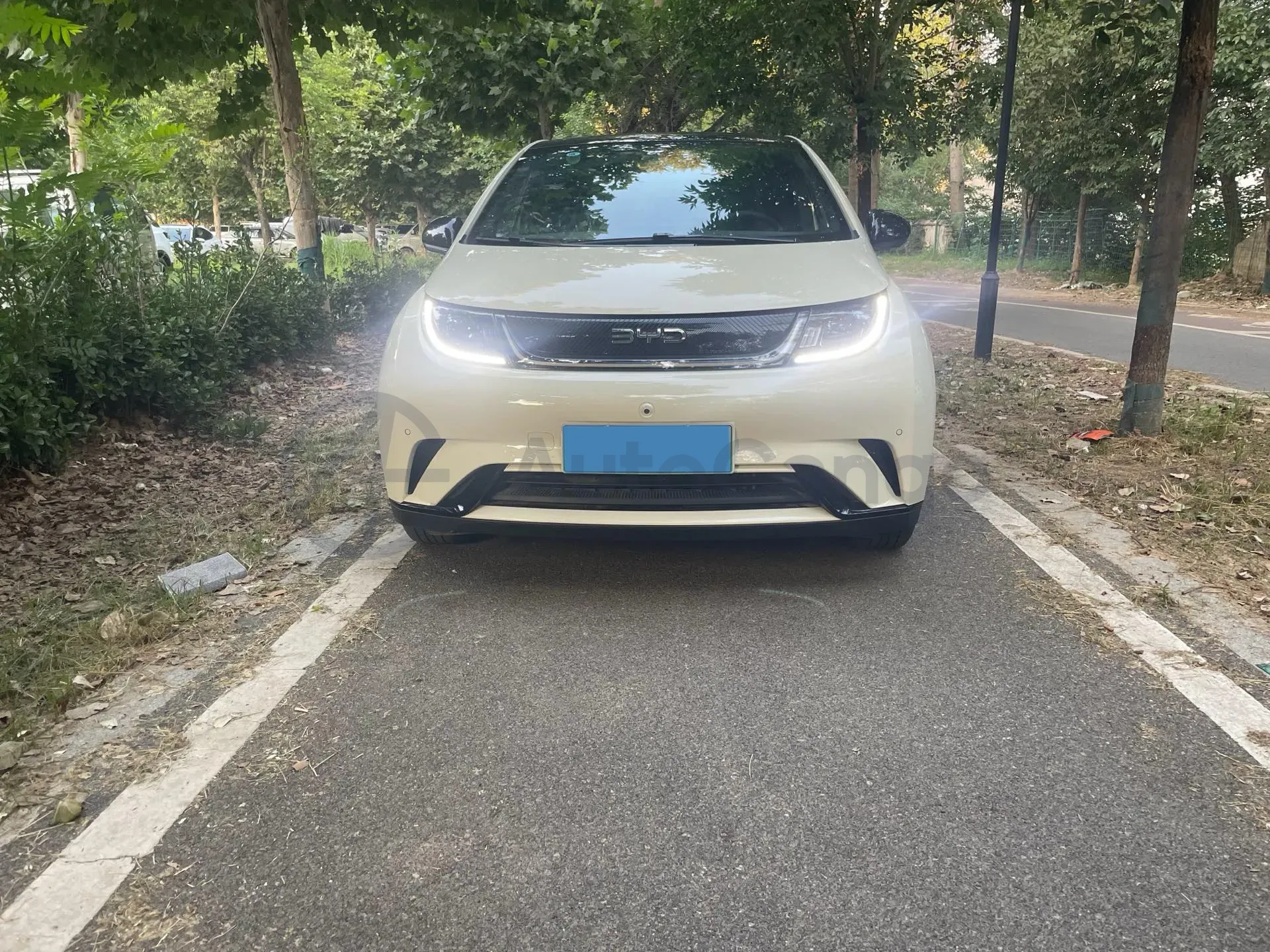 2024 BYD Dolphin BEV 44.928KWH,autocango,china used car exporter,china ev exporter,chinese used car exporter,chinese used ev exporter