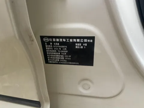 2024 BYD Dolphin BEV 44.928KWH