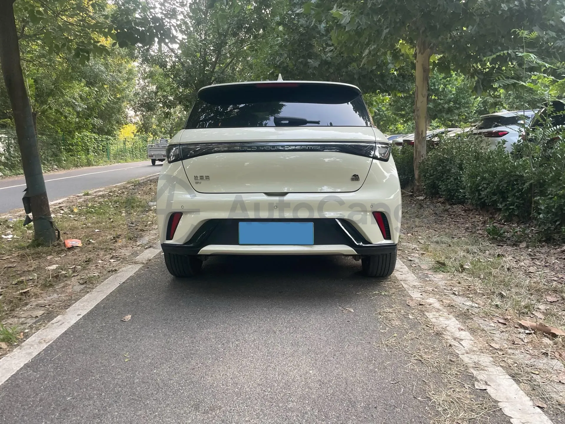 2024 BYD Dolphin BEV 44.928KWH,autocango,china used car exporter,china ev exporter,chinese used car exporter,chinese used ev exporter