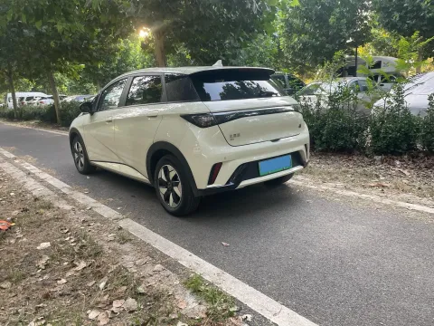 2024 BYD Dolphin BEV 44.928KWH