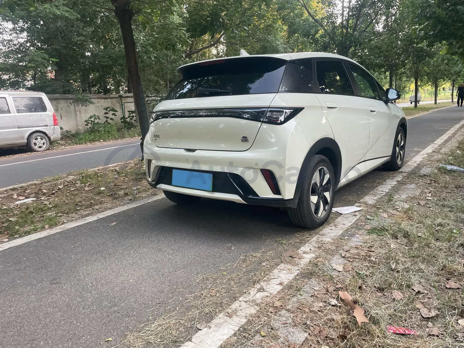2024 BYD Dolphin BEV 44.928KWH,autocango,china used car exporter,china ev exporter,chinese used car exporter,chinese used ev exporter