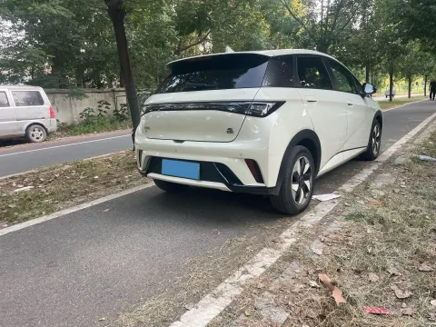 2024 BYD Dolphin BEV 44.928KWH