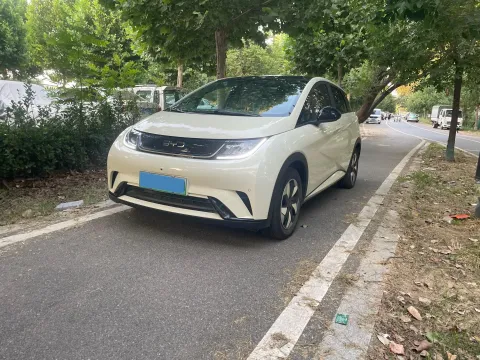2024 BYD DOLPHIN,autocango,china used car exporter,china ev exporter,chinese used car exporter,chinese used ev exporter
