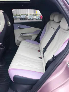 2023 BYD Dolphin BEV 44.928KWH,autocango,china used car exporter,china ev exporter,chinese used car exporter,chinese used ev exporter