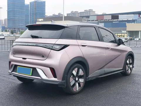 2023 BYD Dolphin BEV 44.928KWH,autocango,china used car exporter,china ev exporter,chinese used car exporter,chinese used ev exporter