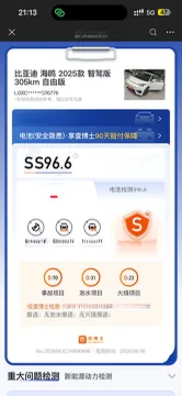 2025 BYD Seagull BEV 30.08KWH