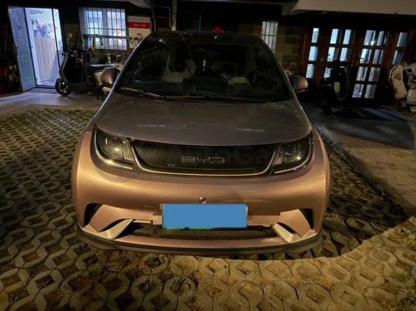 2021 BYD e2 BEV 43.2KWH,autocango,china used car exporter,china ev exporter,chinese used car exporter,chinese used ev exporter
