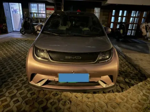 2021 BYD e2 BEV 43.2KWH