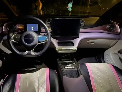 2021 BYD e2 BEV 43.2KWH