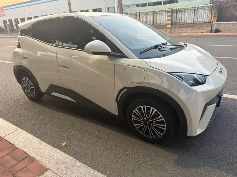 2024 BYD Seagull BEV 30.08KWH,autocango,china used car exporter,china ev exporter,chinese used car exporter,chinese used ev exporter